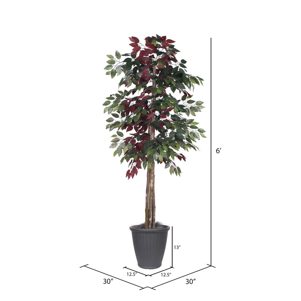 Vickerman 6' Artificial Capensia Deluxe Tree Gray Round Plastic Container.