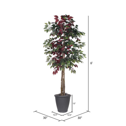 Vickerman 6' Artificial Capensia Deluxe Tree Gray Round Plastic Container.