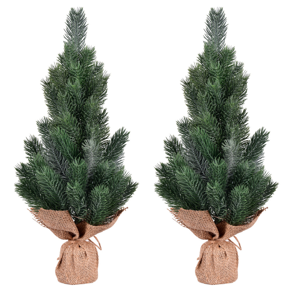 Vickerman 15" Blue Spruce Sapling Artificial Christmas Tree Unlit 2 Pack