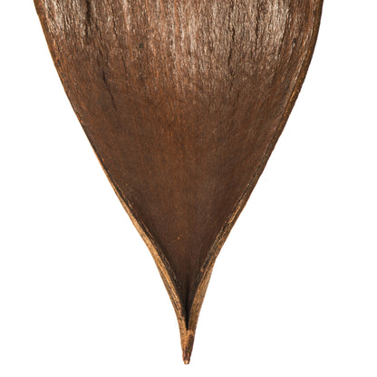 Vickerman PALM PADDLES MINI DK BROWN 15 PIECE BAG (CPD-25) Dried