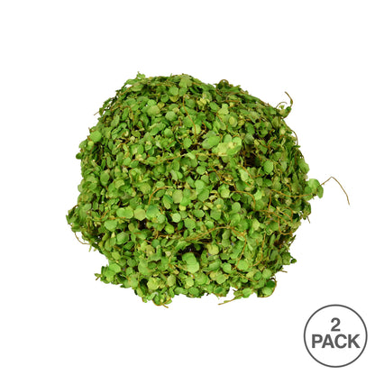 Vickerman 6'' Artificial Green Mini Leaves Ball Pack of 2