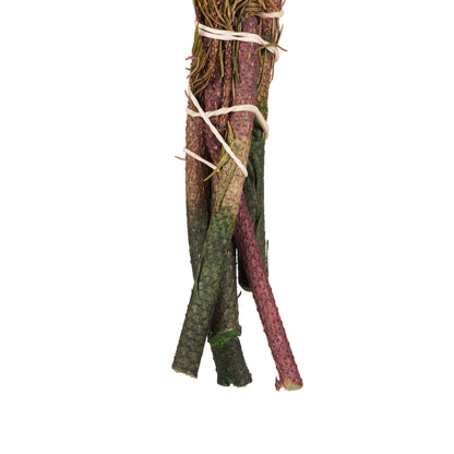 Vickerman 12-16" Violet Brunia 4 oz Bundle Preserved