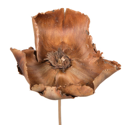 Vickerman Natural Botanicals 2.75" Palm Cap Natural on Stem. Includes 75 pieces per Pack.