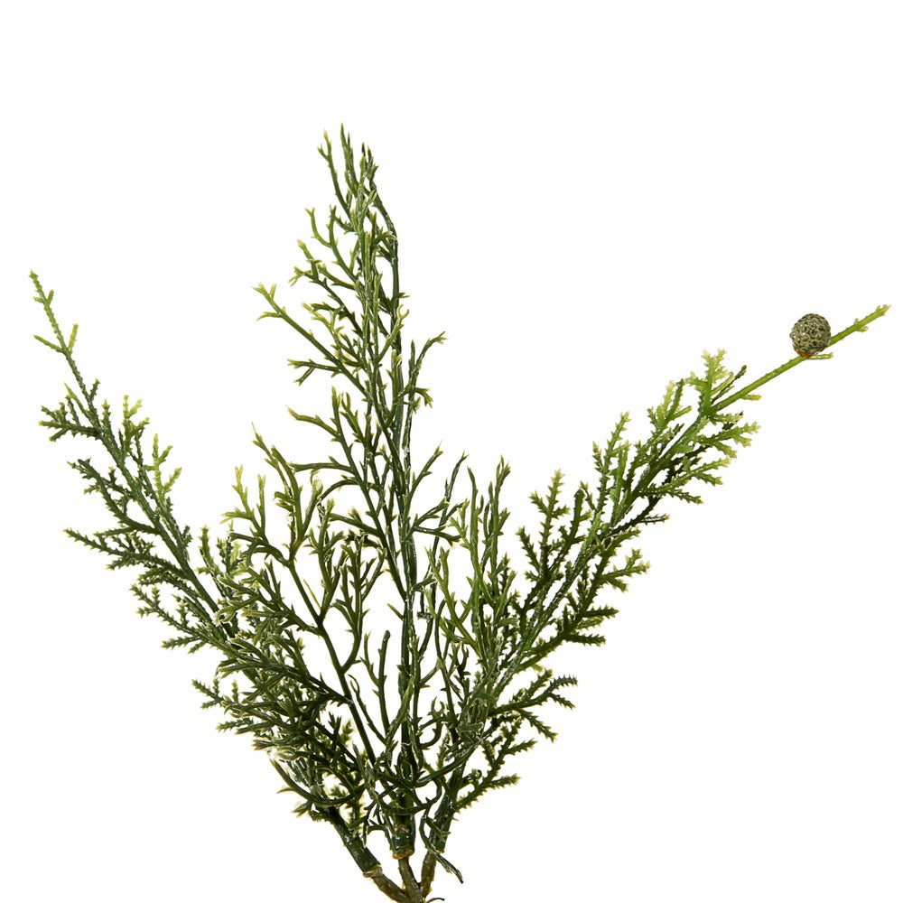Vickerman 75" Artificial Cedar Garland.