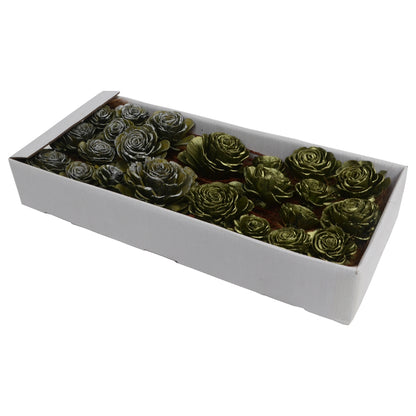 Vickerman 2"- 6" Olive Green Sola Rose Assorted 23 per Window Box Dried