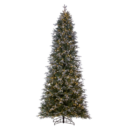 Vickerman 6.5' x 40" Frosted Douglas Fir Artificial Pre-Lit Christmas Tree Warm White LED Lights.