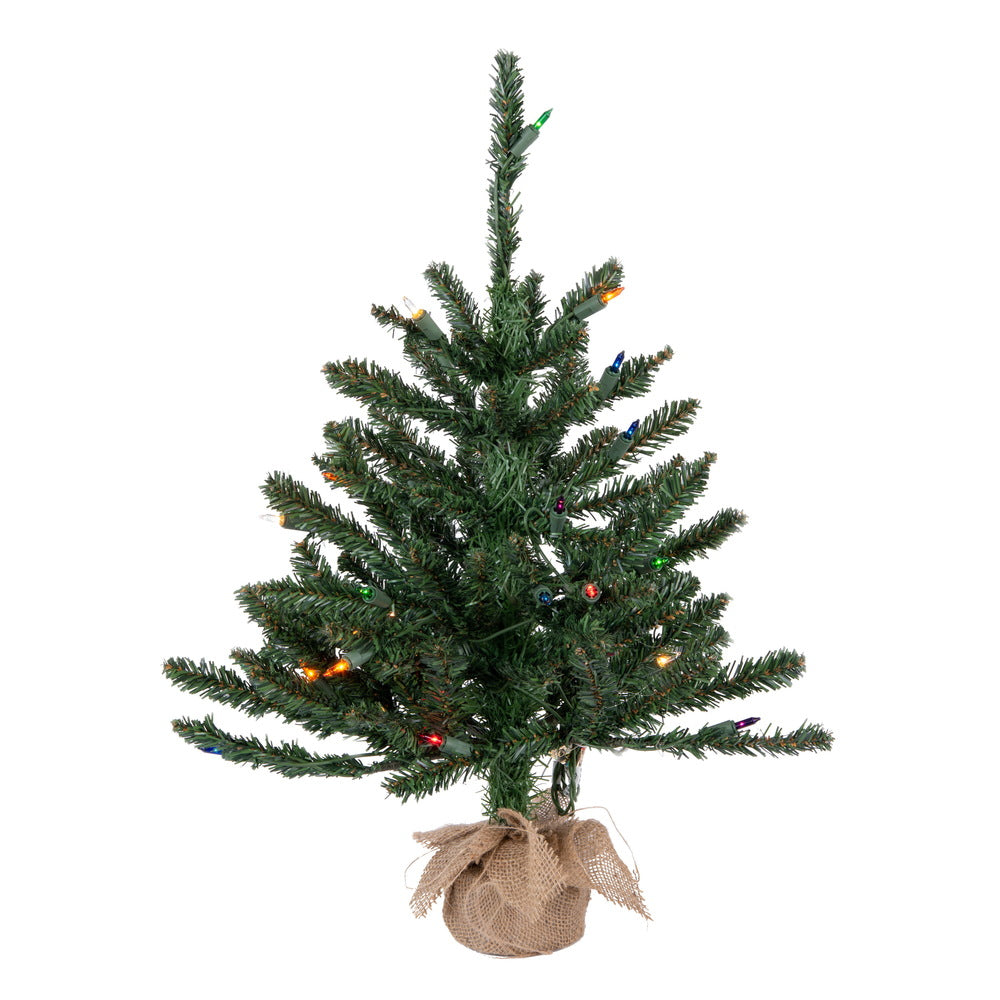 Vickerman 24" Anoka Pine Artificial Christmas Tree Multi-colored Dura-lit Lights
