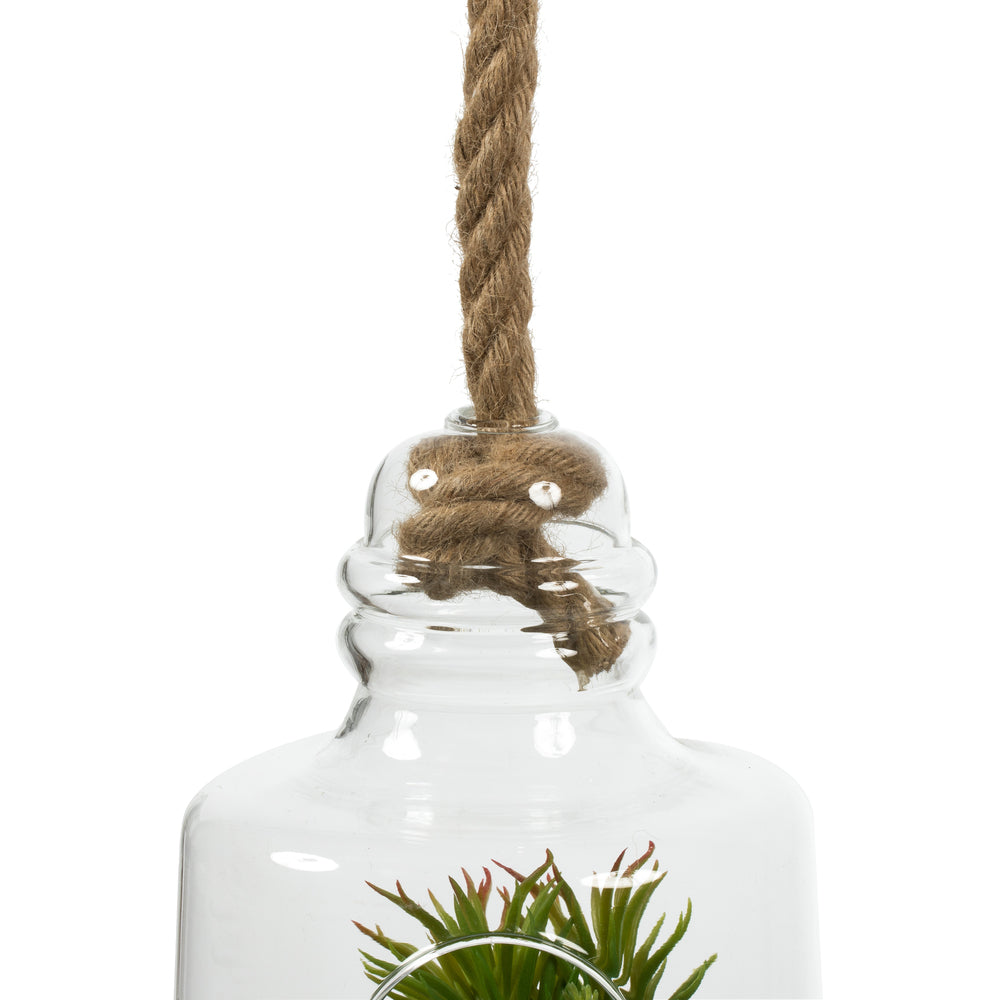 Vickerman 10" Artificial Green Assorted Succulents in Glass Jar.