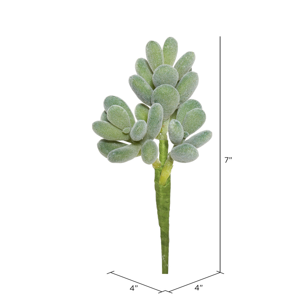 Vickerman 7" Artificial Frosted Crassula Pick Set of 3