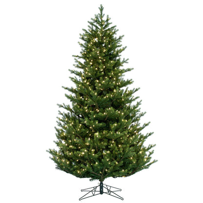 Vickerman 10' x 73" Welch Fraser Fir Artificial Christmas Tree Warm White Dura-lit LED Lights