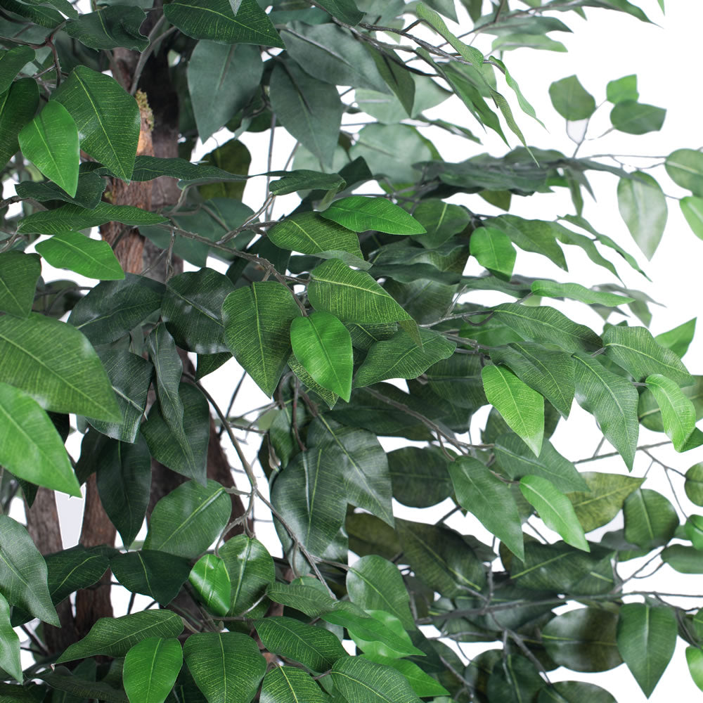 Vickerman 6' Artificial Ficus Executive Rattan Basket