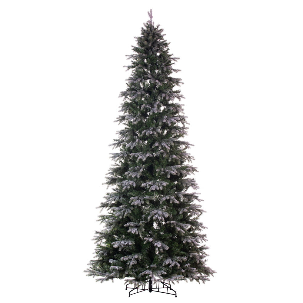 Vickerman 12' x 62" Frosted Douglas Fir Artificial Slim UnLit Christmas Tree.