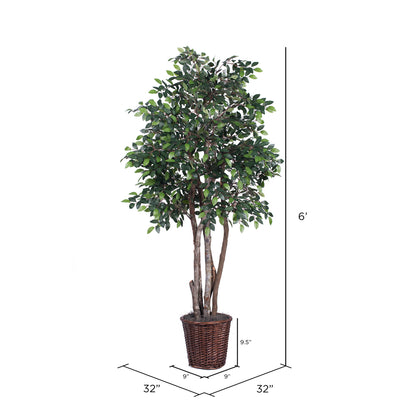 Vickerman 6' Artificial Mini Ficus Executive Rattan Basket