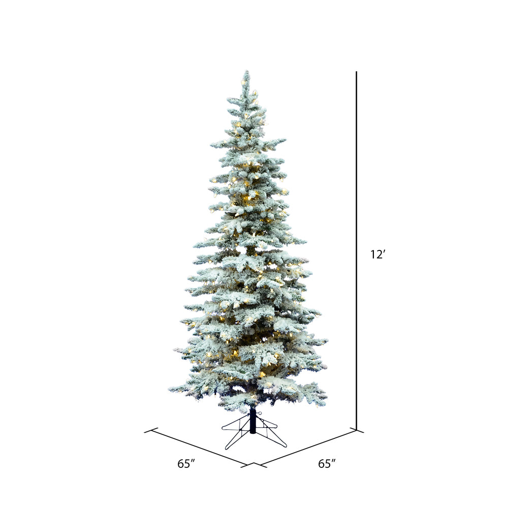 Vickerman 12' Flocked Utica Fir Slim Artificial Christmas Tree Pure White Single Mold LED Lights