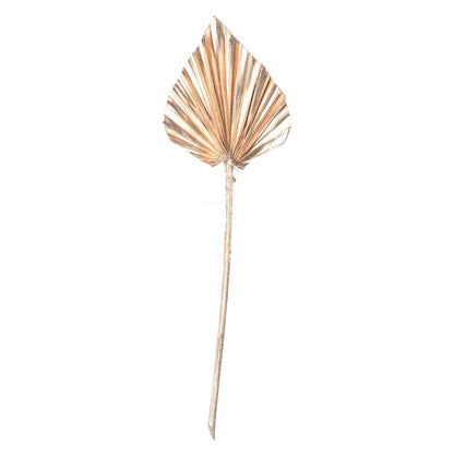 Vickerman Natural Botanicals 15.75 - 19.5" Metallic Gold Dried Palm Spear 12 per bag.