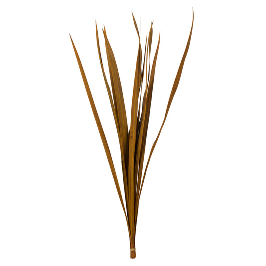 Vickerman 18-30" Aspen Gold Snake Grass. Includes 36 Stems (3 - 12 Stem Bundles) Dried