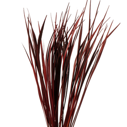 Vickerman 28" Red Splinter Grass 11 oz Bundle Dried