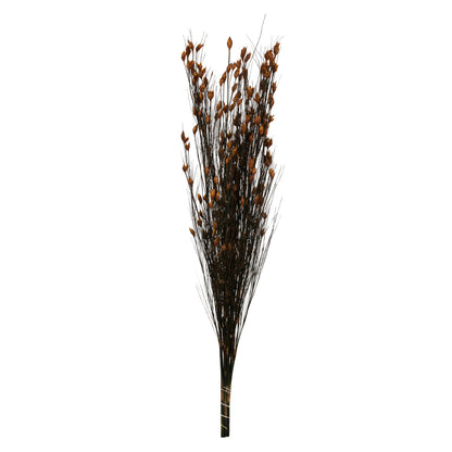 Vickerman 36-40" Autumn Bell Grass with Seed Pods 8-9 oz Bundle Preserved