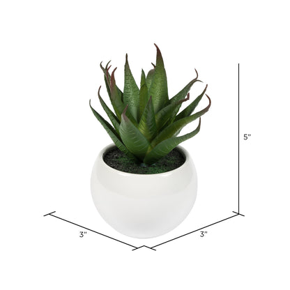 Vickerman 5" Artificial Assorted Potted Succulents.