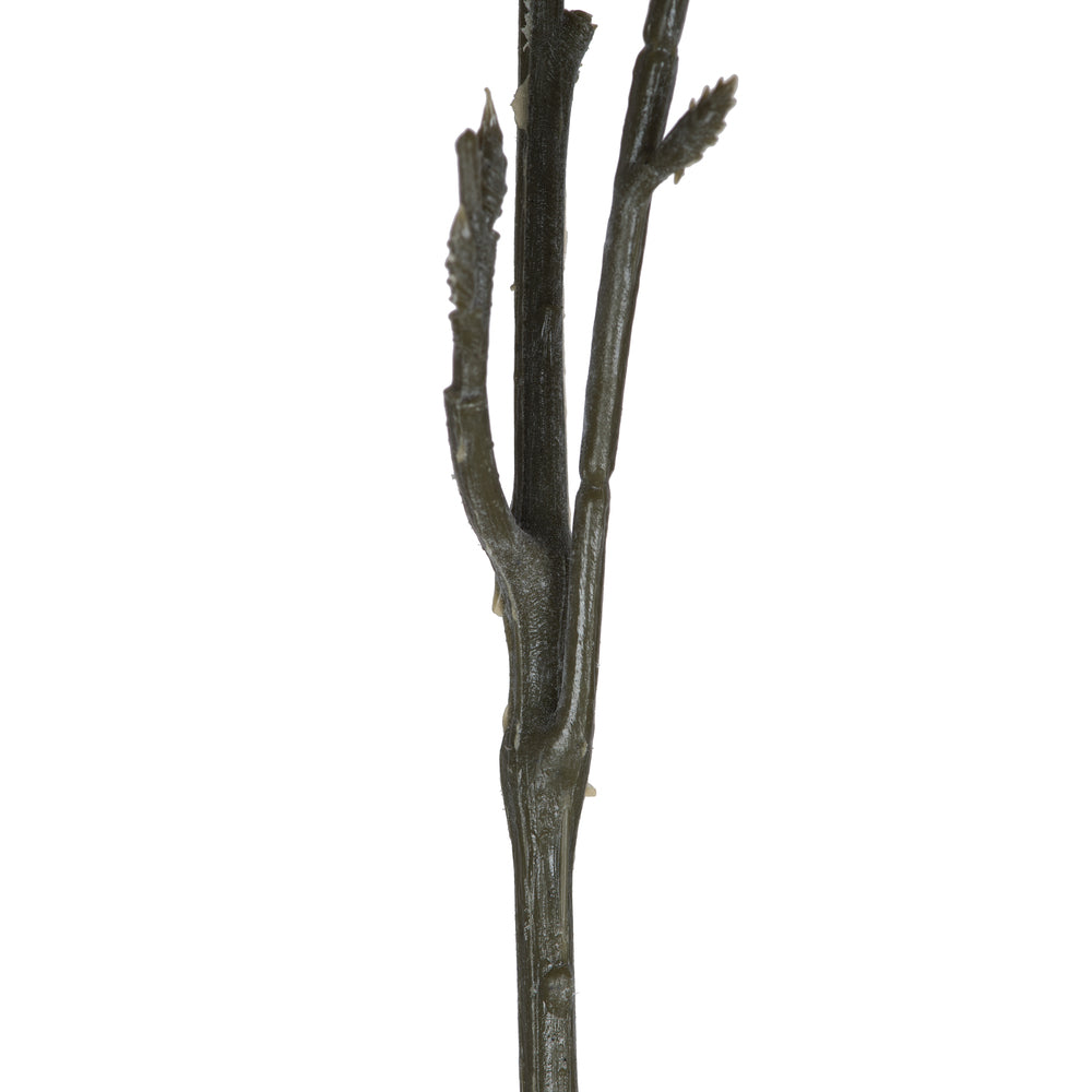 Vickerman 20" Artificial Green and White Aglaia Spray. Includes 6 sprays per pack.