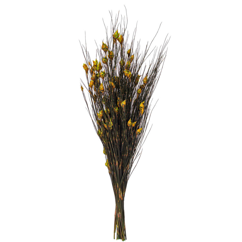 Vickerman 15-20" Basil Bell Female short 5-6 oz Bundle Preserved