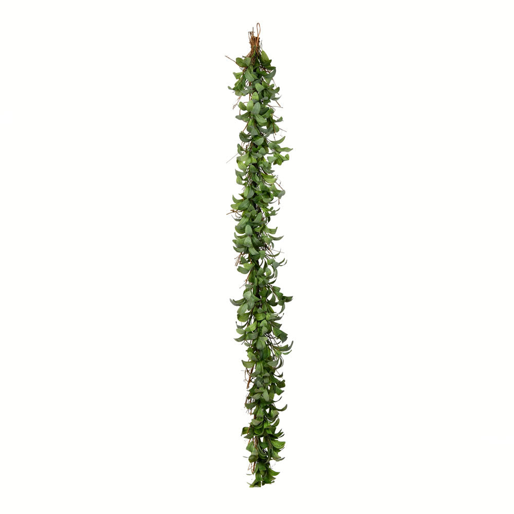 Vickerman 6' Artificial Lamb Ear Leaves Garland.