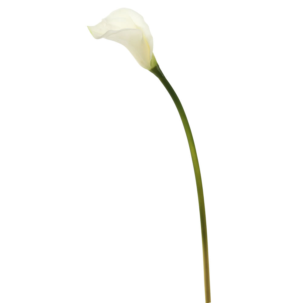 Vickerman 26'' Artificial White Calla Lily Stem 6 per Bag.