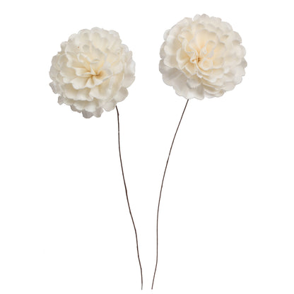 Vickerman Natural Botanicals 4" Natural Dried Camellia Sola Flower on 12" wire stem- 12 stem/polybag.