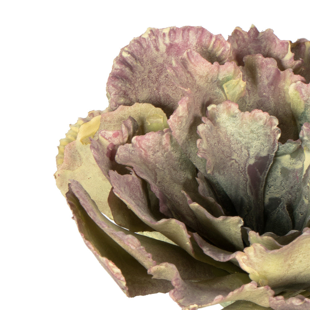 Vickerman 7.5" Artificial Assorted Echeveria Succulent 6 per Bag