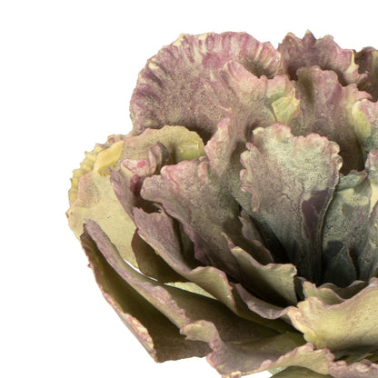 Vickerman 7.5" Artificial Assorted Echeveria Succulent 6 per Bag
