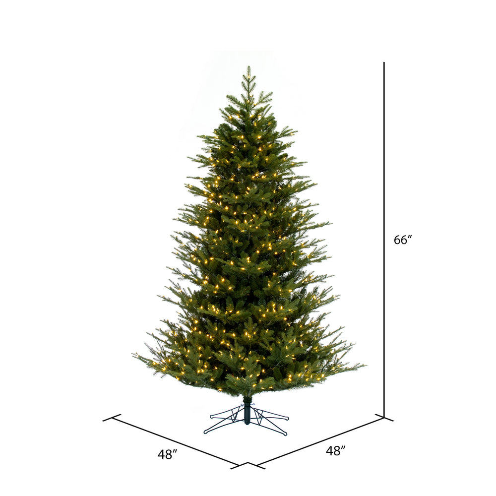 Vickerman 5.5' x 48" North Shore Fraser Fir Artificial Christmas Tree LED Warm White Lights