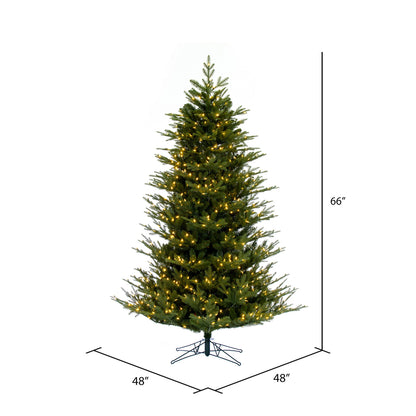 Vickerman 5.5' x 48" North Shore Fraser Fir Artificial Christmas Tree LED Warm White Lights