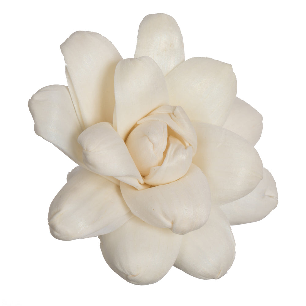 Vickerman Natural Botanicals 1.6"/2.4"/3.2" Assorted Eleanor Sola Flower Head 24 flowers/polybag.