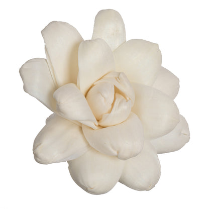 Vickerman Natural Botanicals 1.6"/2.4"/3.2" Assorted Eleanor Sola Flower Head 24 flowers/polybag.