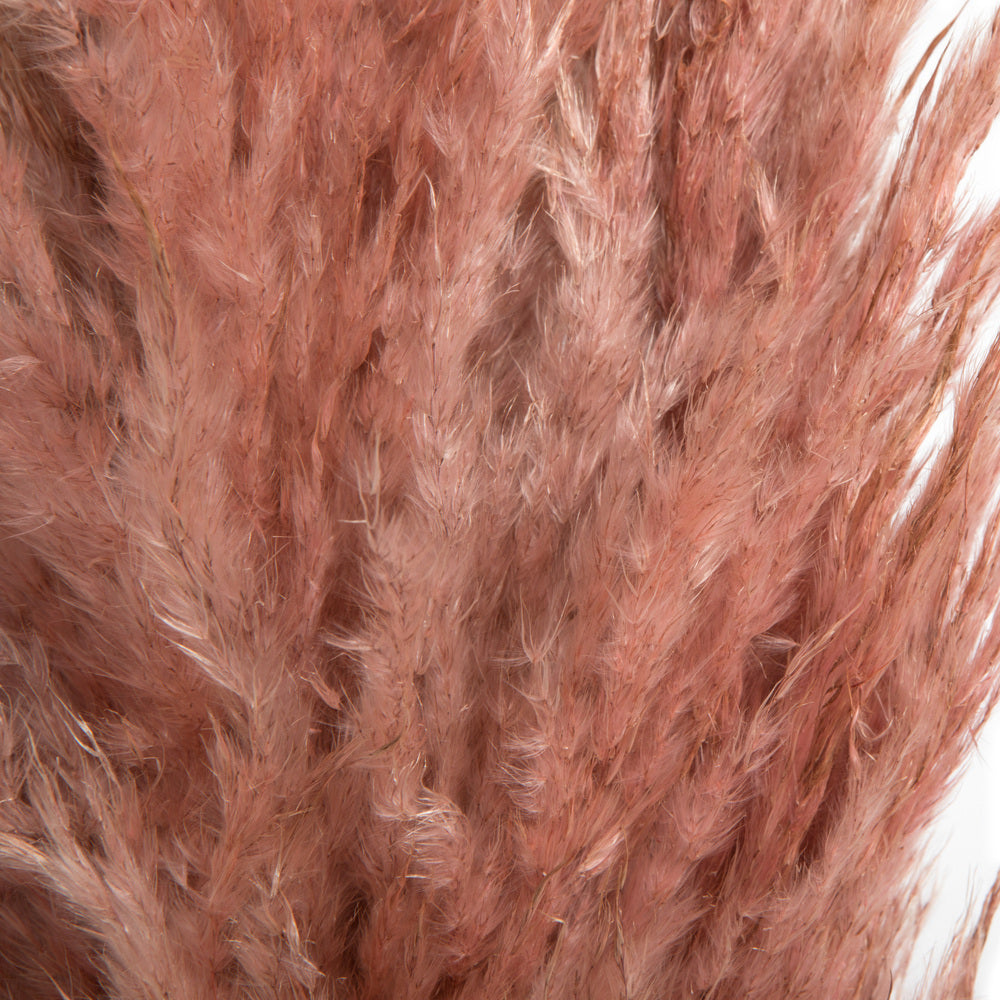 Vickerman 46" Dried Dusty Rose Pampas Grass 6 pack. It includes two stems. Recommended for Indoor.