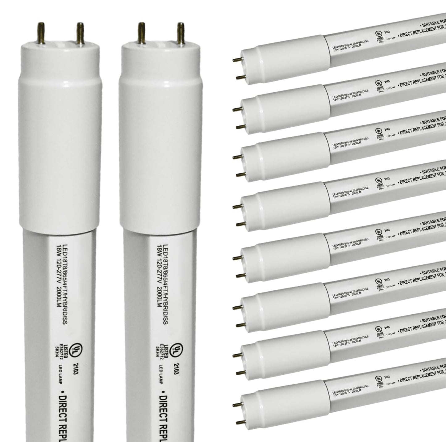 Damar- 47.75-Inch T8 LED Tube Light Bulb Type A + B Hybrid with Safe Shield Sleeve Single/Dual Ended Ballast Bypass 18W 2000 Lumen 6500K Daylight G13 Bi-Pin Base Pack of 10-Fluorescent Replacement