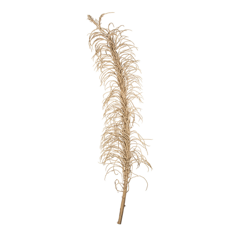 Vickerman 50-60" Natural Medusa Branch - long 1 piece Dried