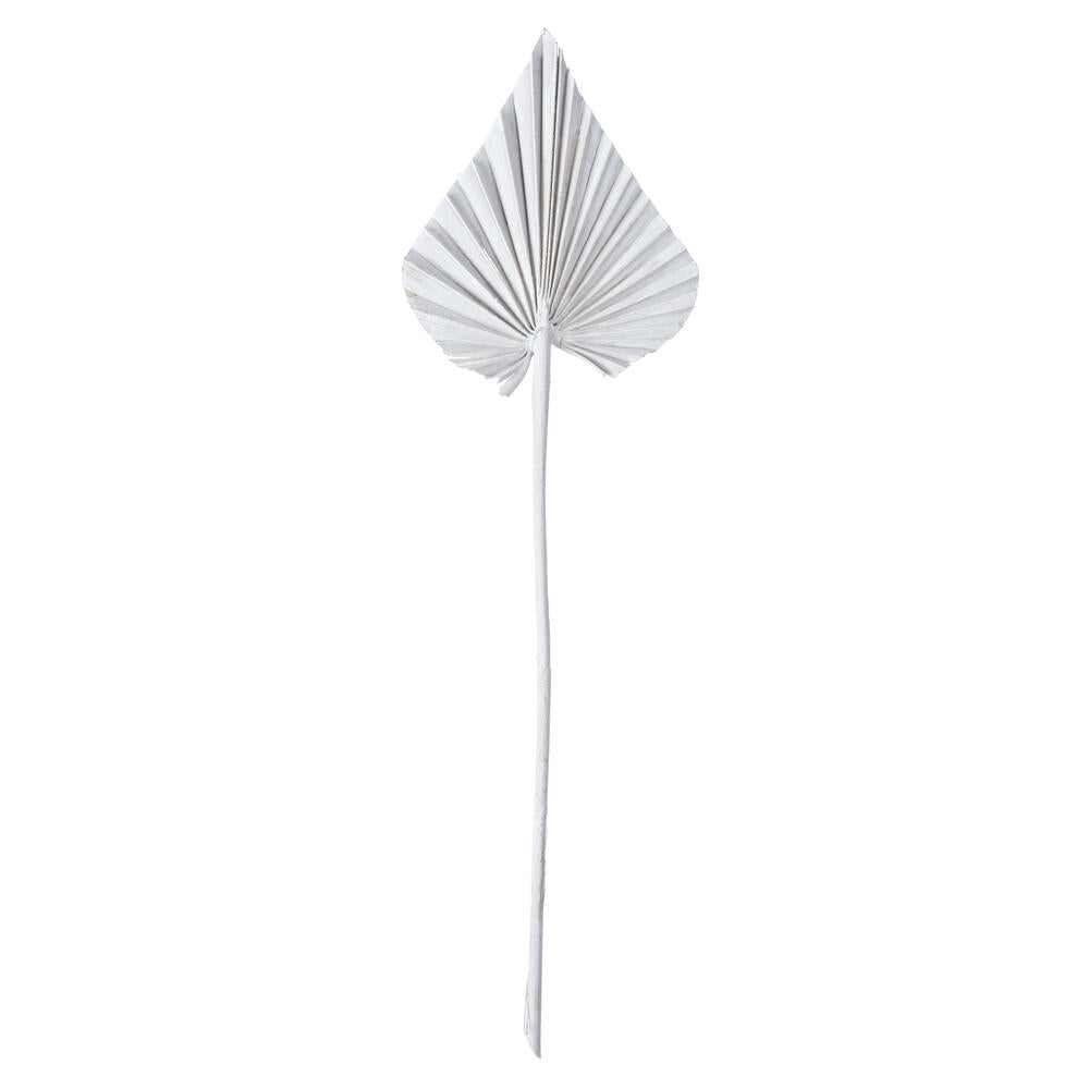 Vickerman Natural Botanicals 15.75 - 19.5" White wash Dried Palm Spear 12 per bag.