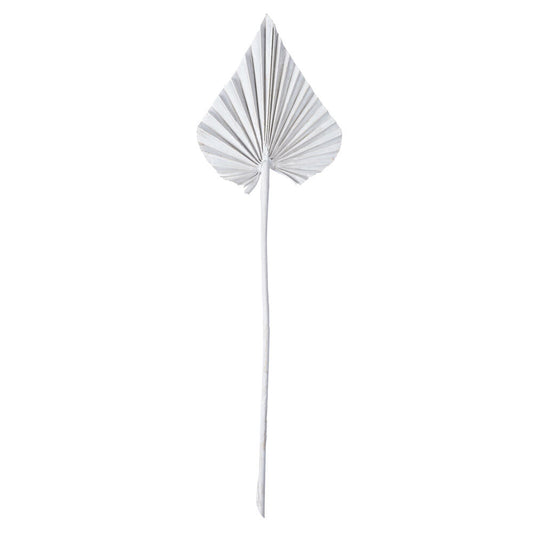 Vickerman Natural Botanicals 15.75 - 19.5" White wash Dried Palm Spear 12 per bag.