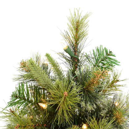 Vickerman 24" Cashmere Pine Artificial Christmas Tree Clear Dura-Lit®Lights