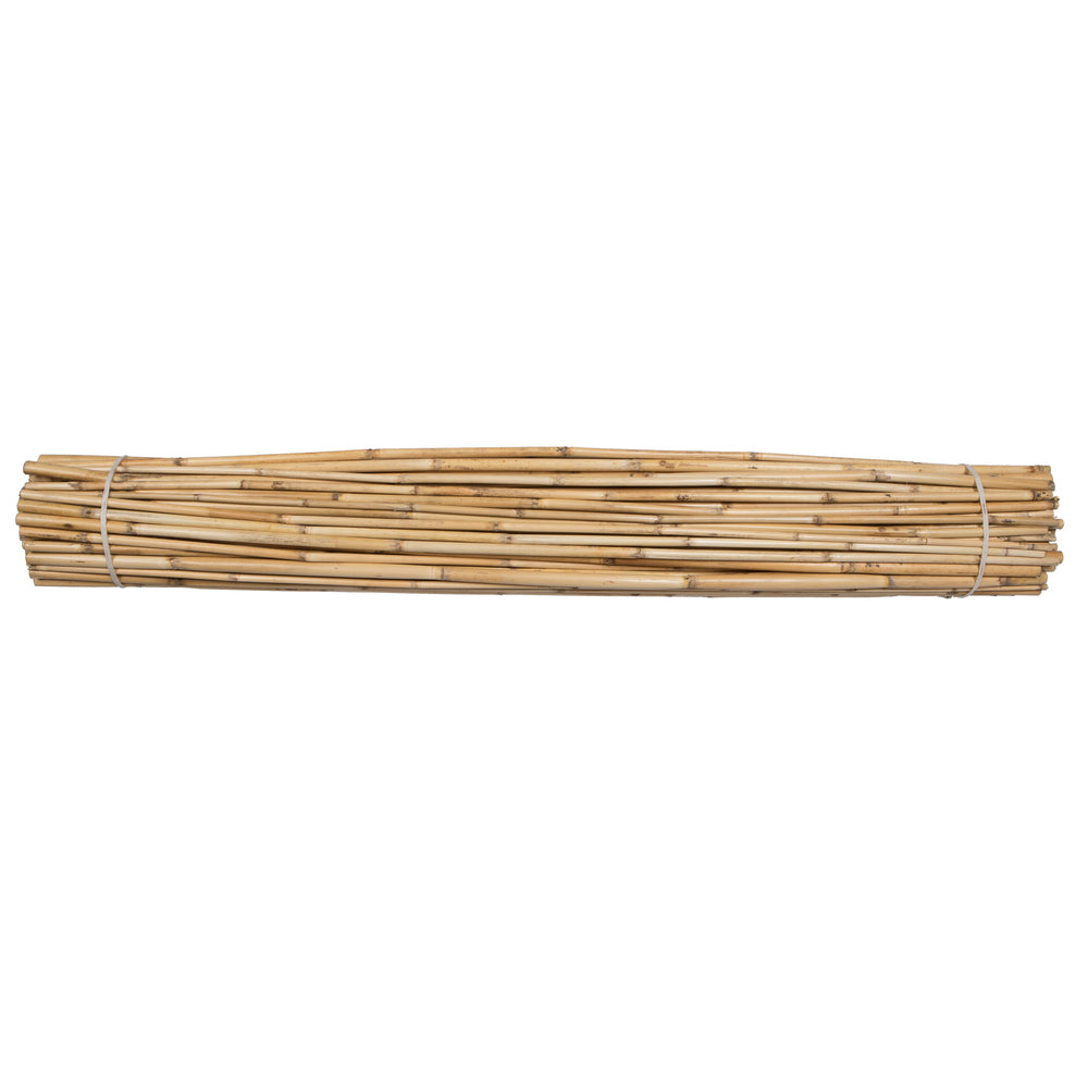 Vickerman Natural Botanicals 40" Bamboo Reed Natural Clean. Includes 100 pieces per pack.