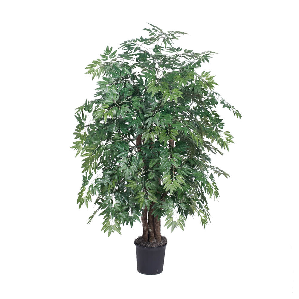 Vickerman 4' Artificial Ming Aralia Extra Full Bush Black Plastic Pot.