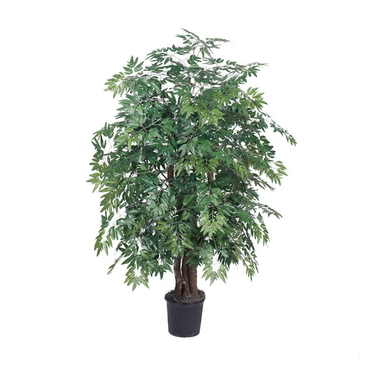Vickerman 4' Artificial Ming Aralia Extra Full Bush Black Plastic Pot.
