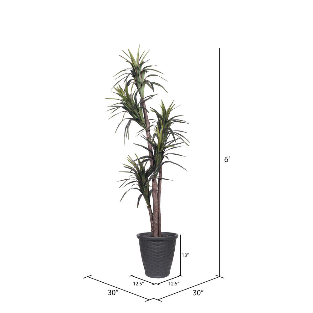 Vickerman 6' Artificial Marginata Executive Tree Gray Round Plastic Container.