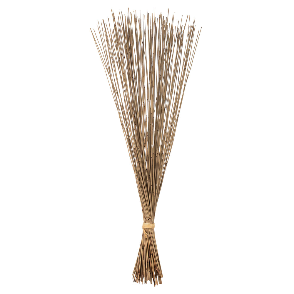 Vickerman 30" Natural Marsh Reed bundle tied with rafia 10 oz Dried