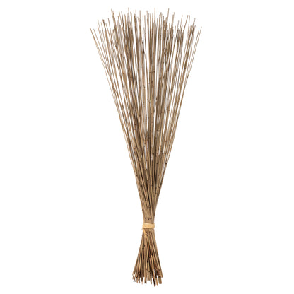 Vickerman 30" Natural Marsh Reed bundle tied with rafia 10 oz Dried