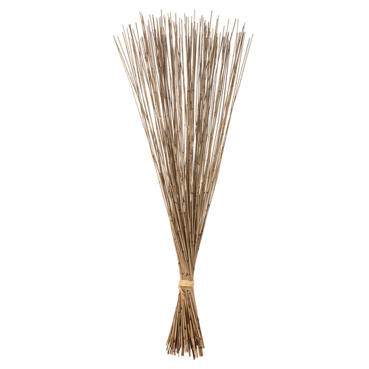 Vickerman 30" Natural Marsh Reed bundle tied with rafia 10 oz Dried
