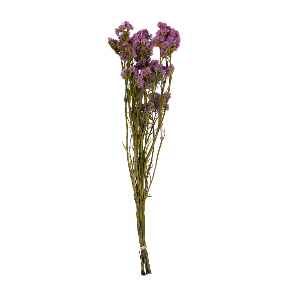 Vickerman Natural Botanicals 19.5" Pink Statice Flower 1.25 oz per unit