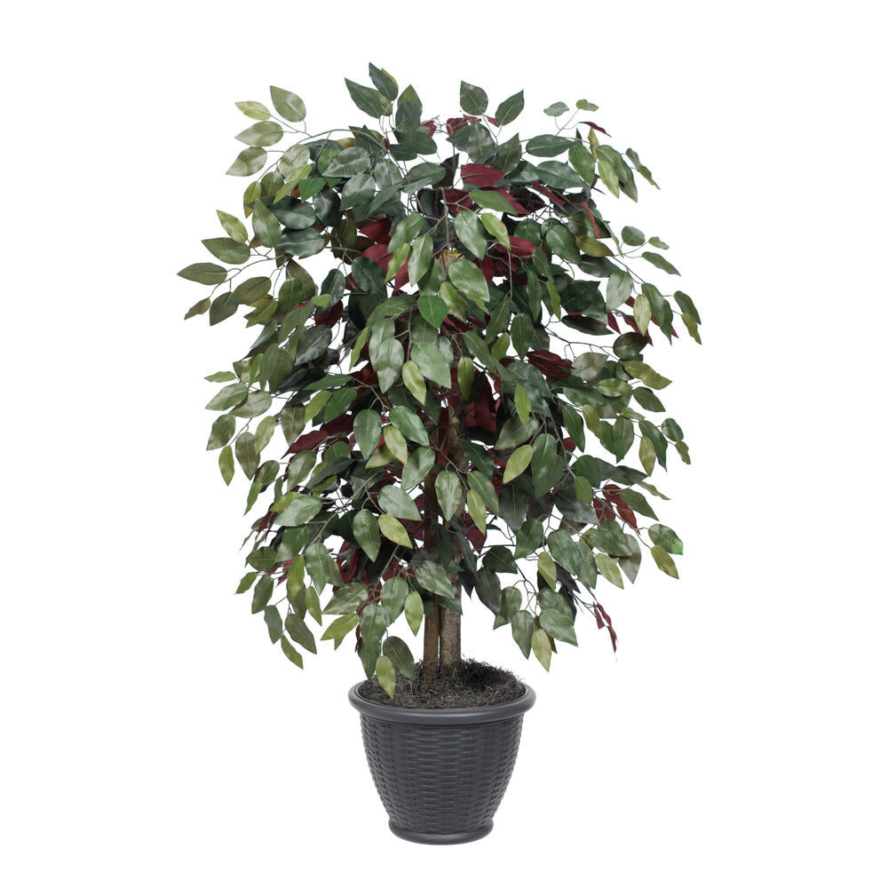 Vickerman 4' Artificial Capensia Bush Gray Round Plastic Container.