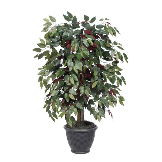 Vickerman 4' Artificial Capensia Bush Gray Round Plastic Container.